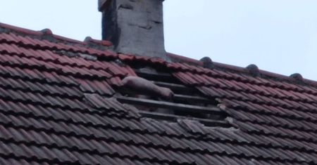 Bolesławiec. Schował się dachu. Liczył, że policjanci go nie znajdą