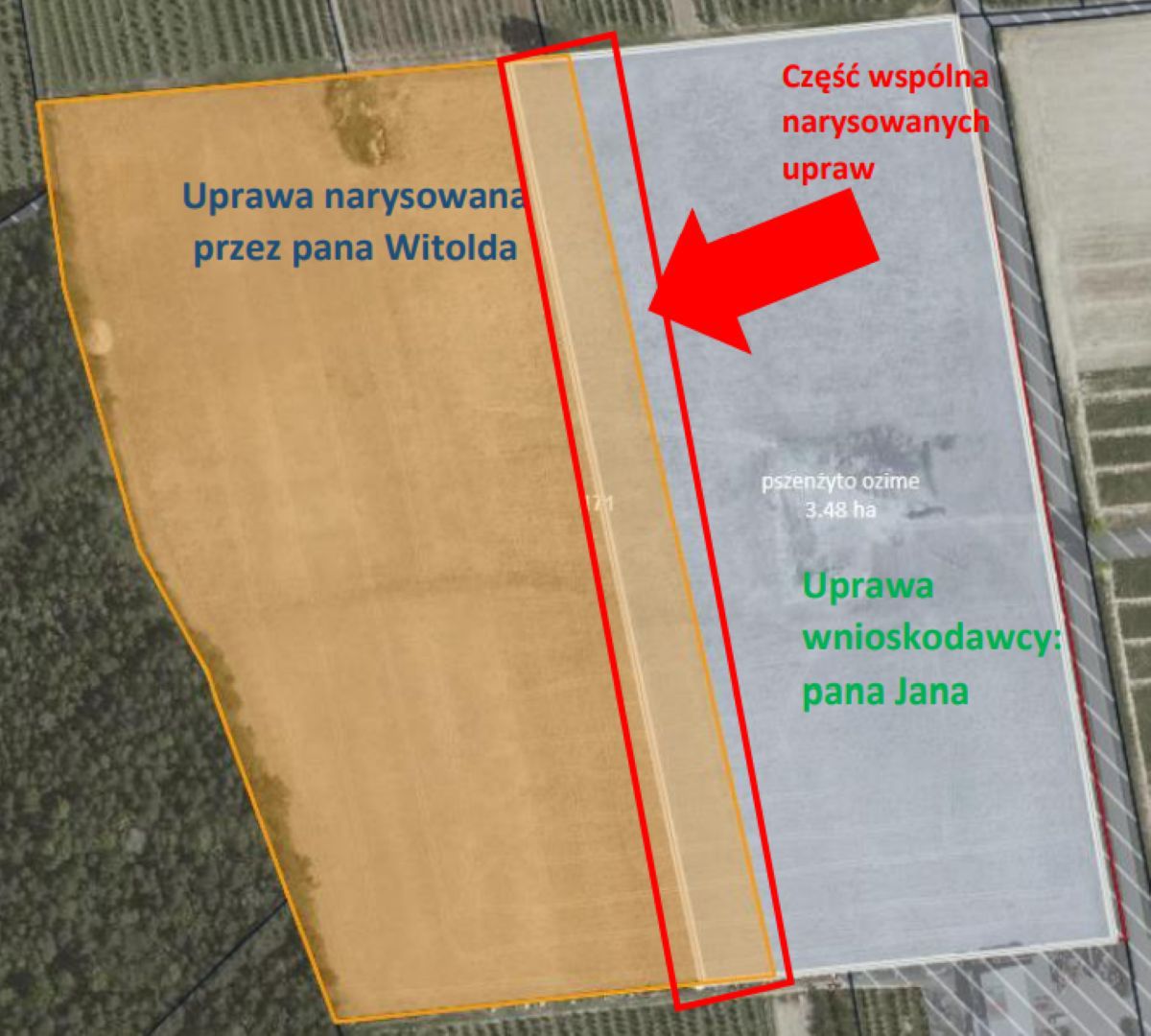 W instrukcji wypełniania wniosku w aplikacji eWniosekPlus wyjaśniono, jak krok po kroku dokonać niezbędnych poprawek.