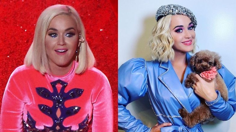 Pies Katy Perry jest weganinem?