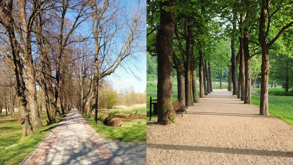 Zdjęli kostkę brukową. Efekt zaskoczył wszystkich 1