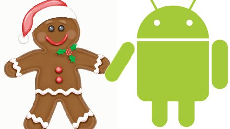 Luka w Gingerbreadzie umożliwiająca zdalny dostęp do karty pamięci 1