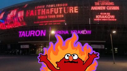 Zamieszki w Krakowie? To tylko fandom One Direction
