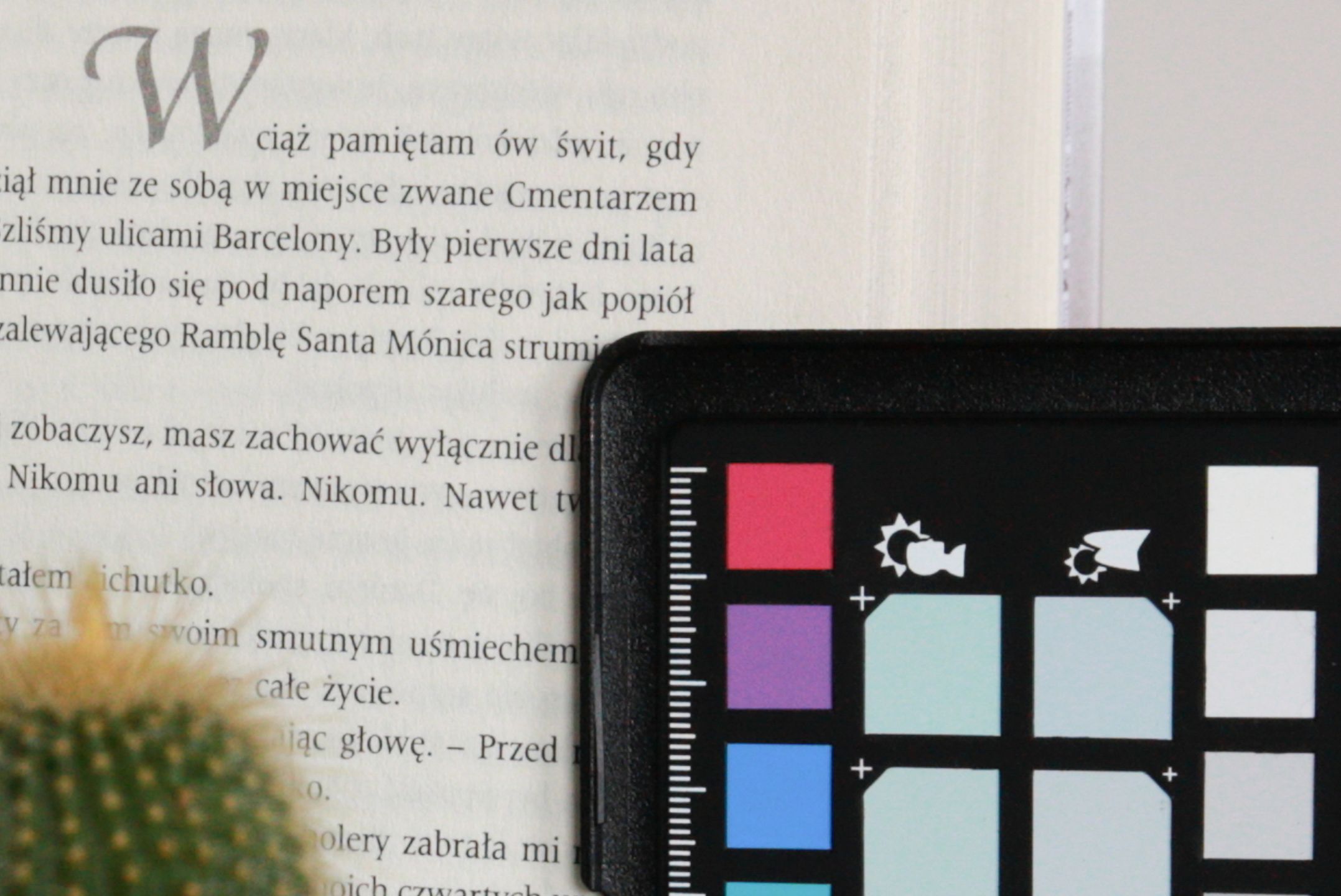 Canon EOS RP - budżetowy aparat wcale nie musi być zły [TEST] 35
