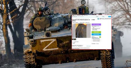 Ukradli ją w Ukrainie. Rosjanin wystawił to na aukcji w internecie