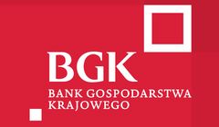 O obsługę reklamową Banku Gospodarstwa Krajowego walczy 13 agencji