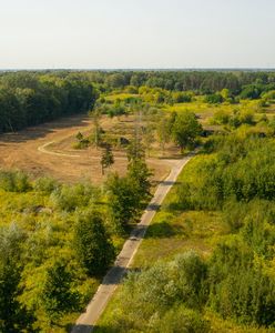 Warszawa. Inspektor budowlany wstrzymuje budowę osiedla w rezerwacie Łosiowe Błota