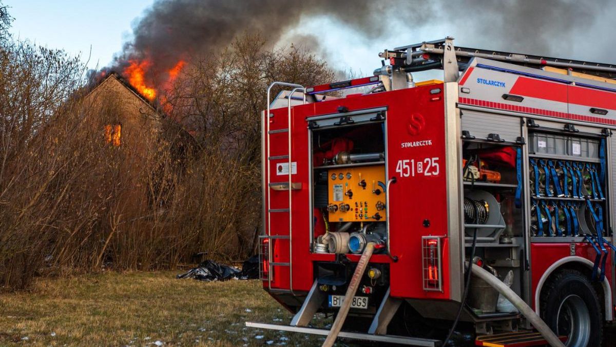 Zdjęcie ilustracyjne 