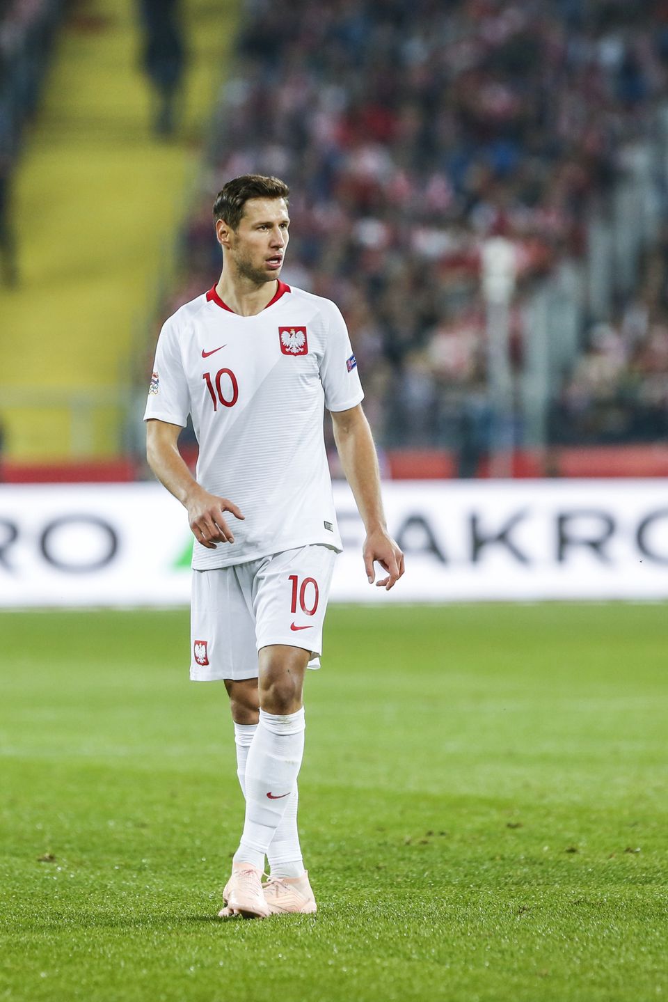 Grzegorz Krychowiak