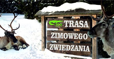 Trasa zimowego zwiedzania w płockim zwierzogrodzie. ZOO Płock zaprasza