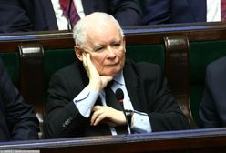 Jest najnowszy sondaż. Jedna partia mocno w górę