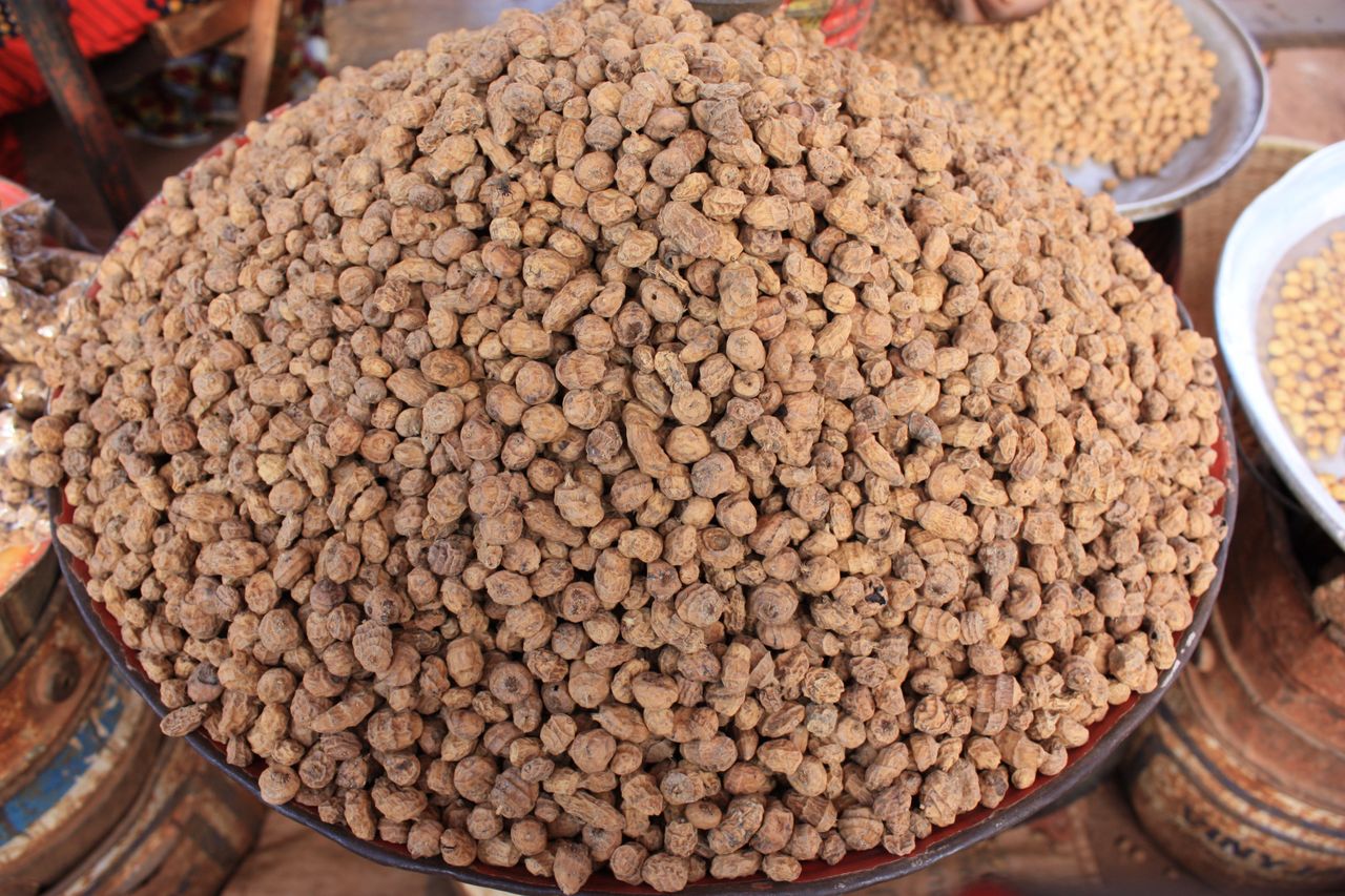Tubers of chufa, from which horchata is made