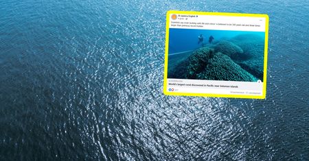 Widać go z kosmosu. Niezwykłe odkrycie na oceanie