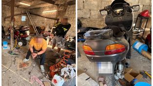 Dziupla pod Płońskiem rozbita. Policjanci odzyskali skradzione motocykle
