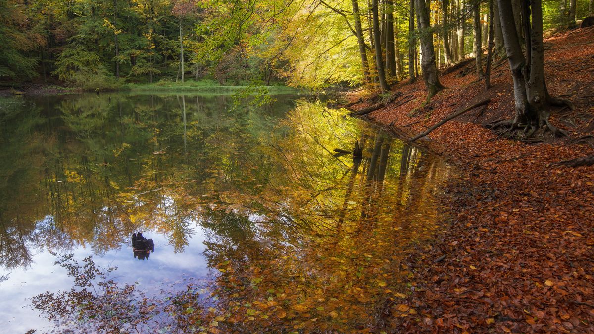 Jedno z Jeziorek Duszatyńskich jesienią 