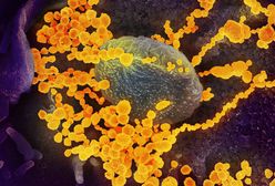 Koronawirus Hiszpania. Obowiązkowa kwarantanna w Galicji. Ogniska koronawirusa wykryto w barach i restauracjach