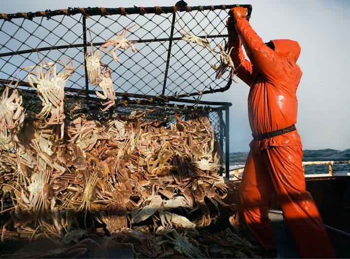 Fish-Work: The Bering Sea