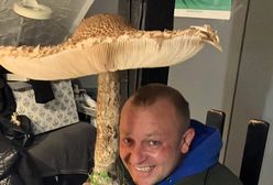 Gigantyczny grzyb znaleziony w Polsce. Rozmiarem przypominał parasol