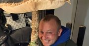 Gigantyczny grzyb znaleziony w Polsce. Rozmiarem przypominał parasol