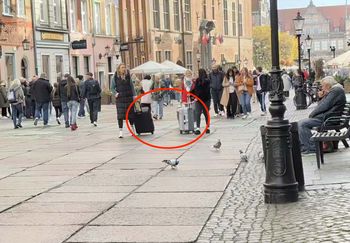Tłumy w polskim mieście. "W oczy rzucają się dwie rzeczy"