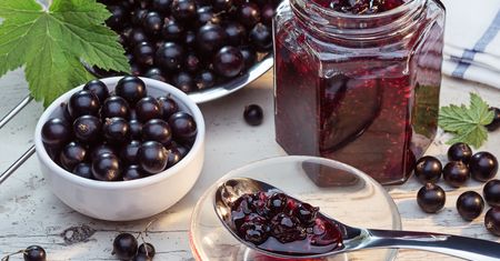 Nie ma lepszego dodatku do deserów. Ten dżem z czarnej porzeczki smakuje wybornie