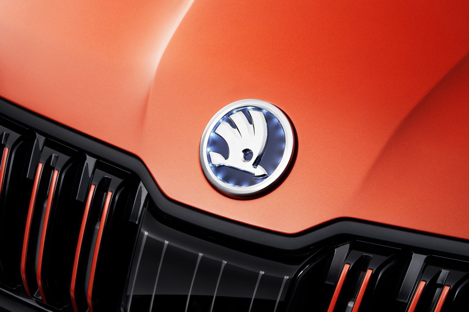 Zdjęcie ilustracyjne do artykułu