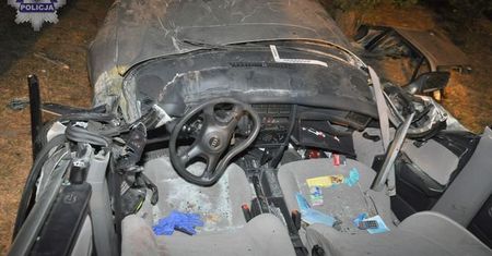 Kraśnik: Zakończyły jazdę na drzewie