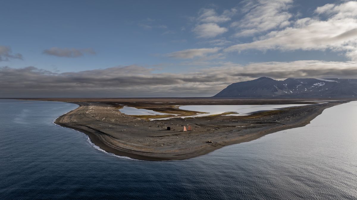SVALBARD AND JAN MAYEN - JULY 07: An aerial view of walruses, one of the Arctic animals, in Svalbard and Jan Mayen, located in the Arctic, which is home to microorganisms, algae, phytoplankton, thousands of macro- and micro-creatures, and several marine mammals, on July 7, 2024. While the Arctic marine system has many features that make the region unique, shallow water and deep water dynamics in the Arctic, light levels during periodic long periods of light and darkness, and freshwater resources from melting glaciers are very powerful features of the Arctic ecosystem in a global sense, the polar ecosystem also harbors unique endemic species that are found nowhere else on the planet that particularly characterize the Arctic ecosystem. (Photo by Sebnem Coskun/Anadolu via Getty Images)