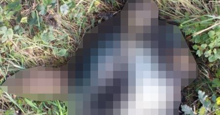 Warszawa. Nieopodal szkoły podst. odkryto szkielet mężczyzny w garniturze