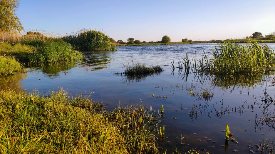 Międzyodrze to niezwykle cenny obszar