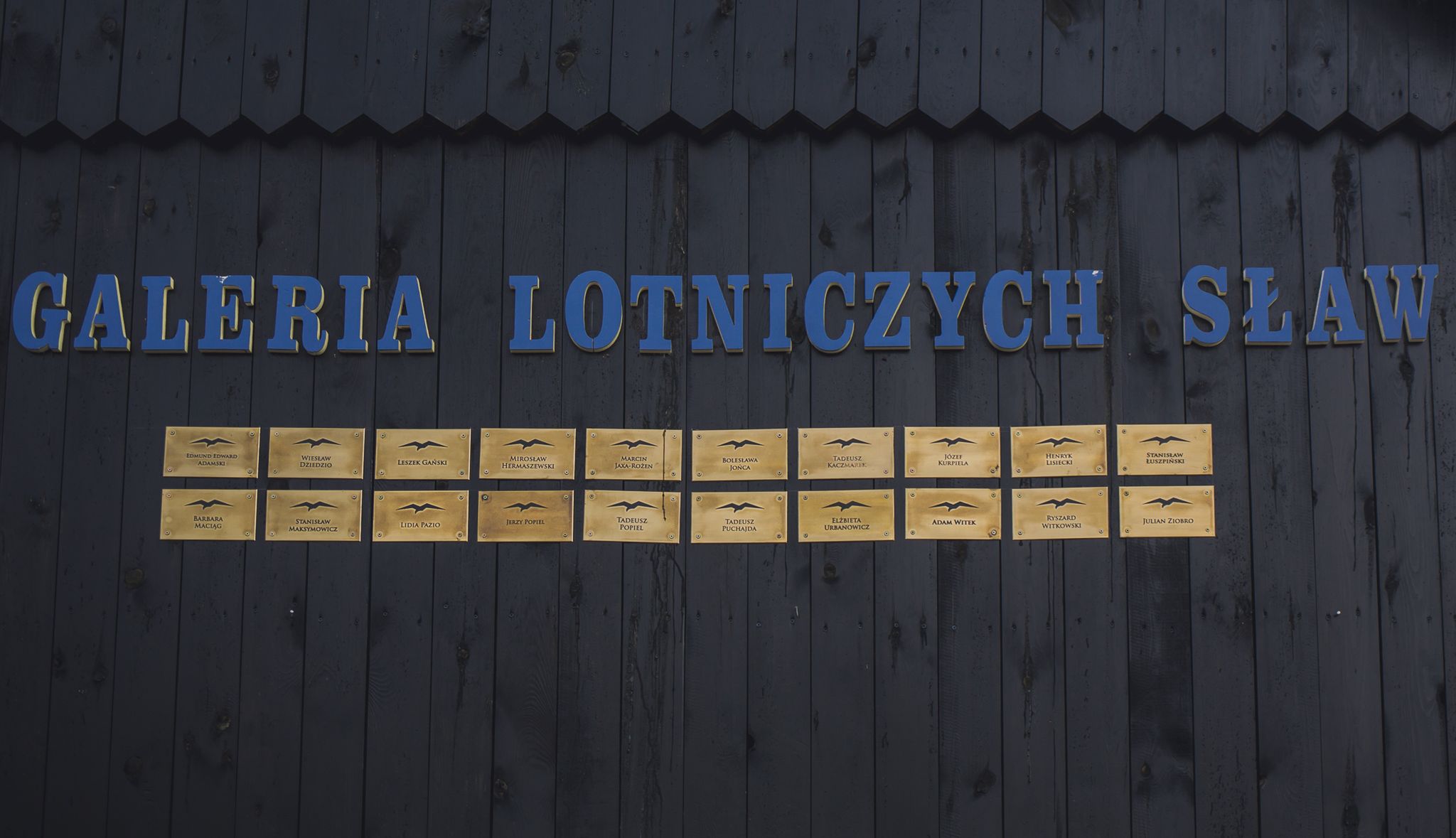 Zdjęcie ilustracyjne do artykułu