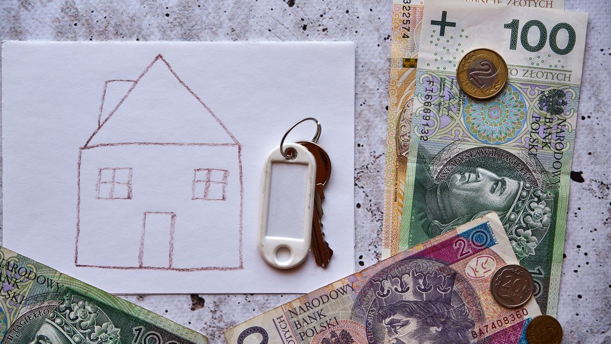 waluta, polska, moneta, monety, polskie, banknot, polski, banknoty, dom, rysunek, klucz, bank, kredyt, kredyt hipoteczny, rata, koszty, wydatki, finanse, gospodarka, zloty