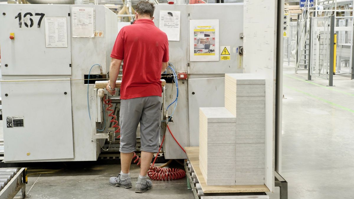 Rząd chwali się poprawą. Branża widzi upadek sektora drzewnego