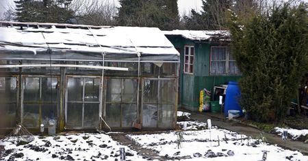 Zakazy na działkach zimą. Za to grozi nawet 1000 zł kary