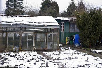 Zakazy na działkach zimą. Za to grozi nawet 1000 zł kary