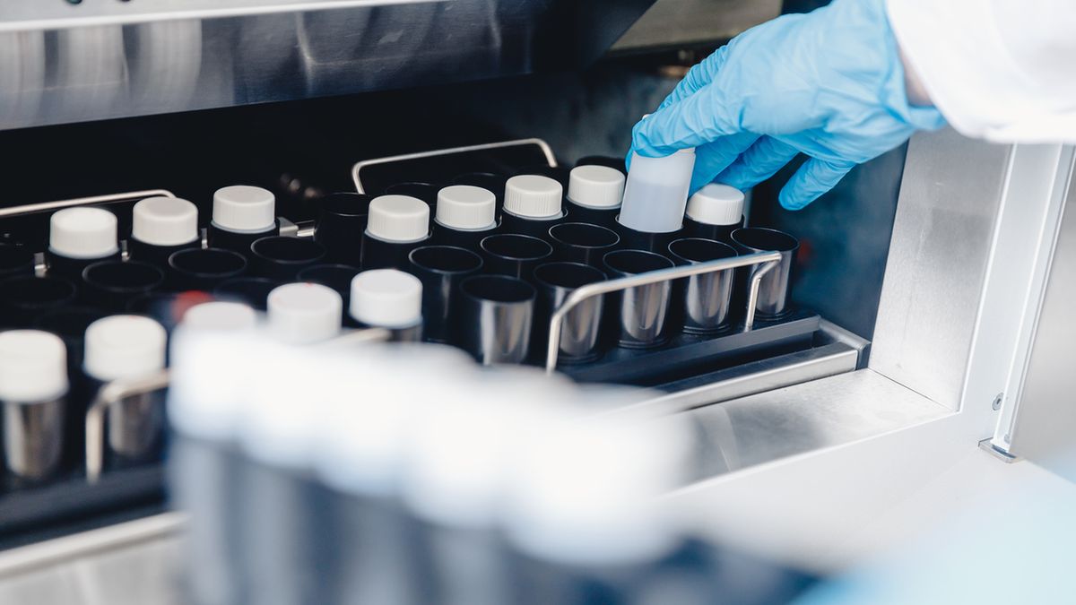 Bank spermy to placówka, w której przechowuje się męskie nasienie.