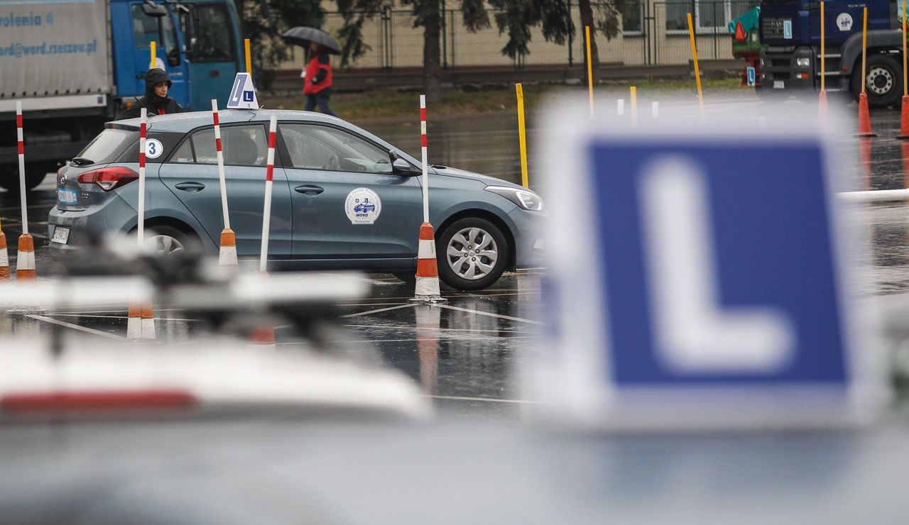 Poznań: Tu kurs na prawo jazdy to bułka z masłem. Oto Orły Nauki Jazdy - zwycięzcy i laureaci prestiżowego rankingu