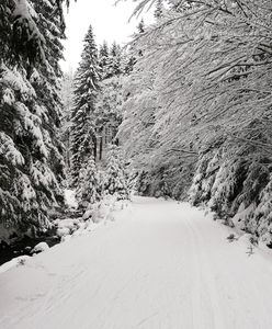 Nie chowajcie czapek, zima do nas wraca. Najnowsza prognoza IMGW