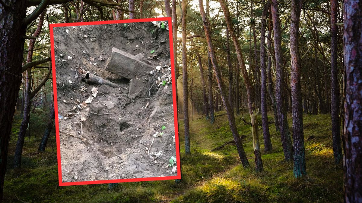 Muzeum w Mamerkach odkryło starannie ukryte składowisko sprzętu wojskowego