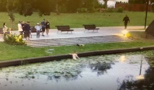 Nowy Dwór Gdański. Weszła do rzeki i została bohaterką. Nagrał to monitoring