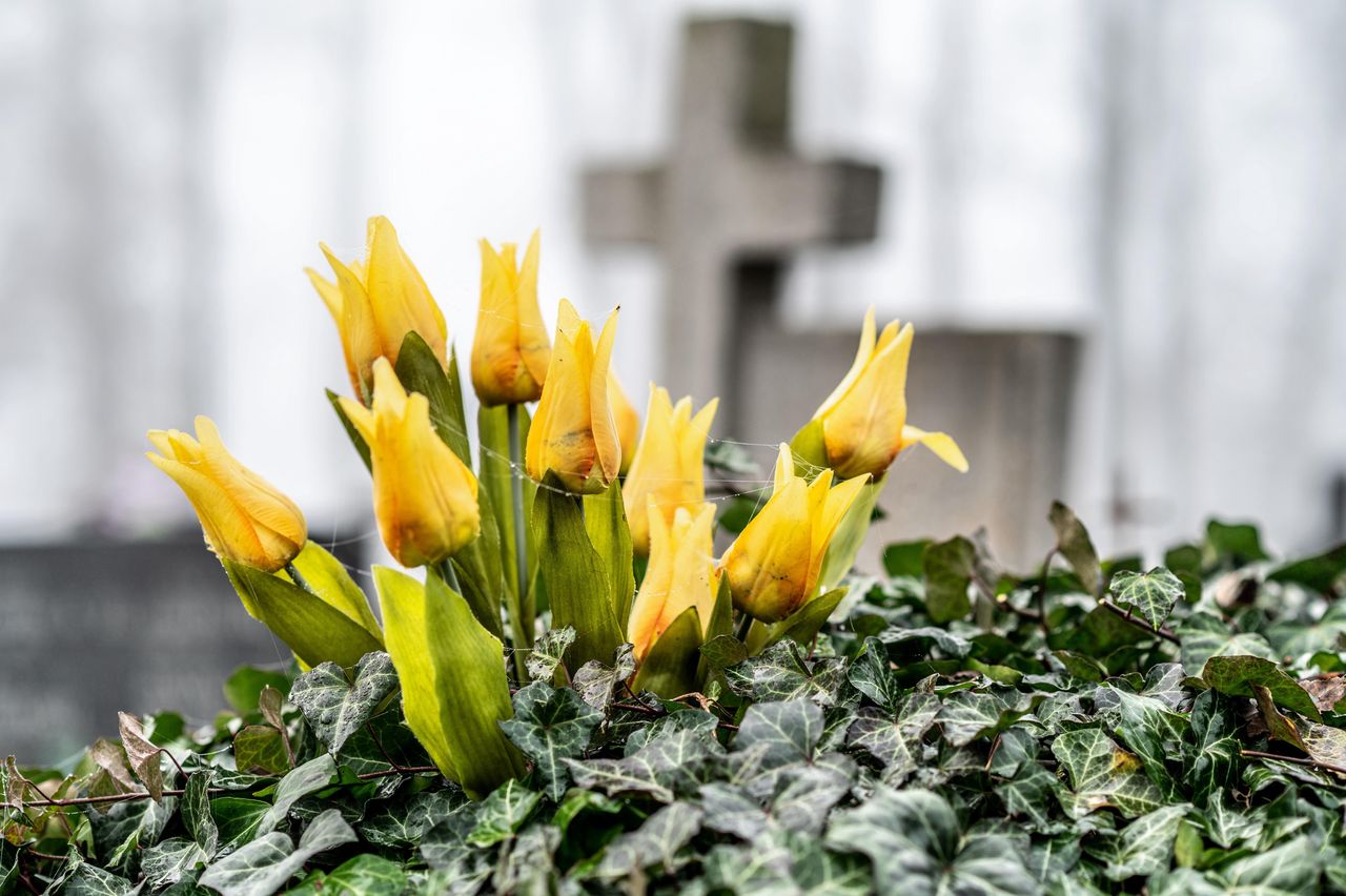 Pogrzeb ofiar wypadku w Krakowie. Poruszające słowa