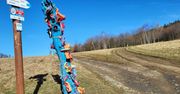 Jelenia Góra: Skopiec w Górach Kaczawskich. Widoki po drodze są cudne