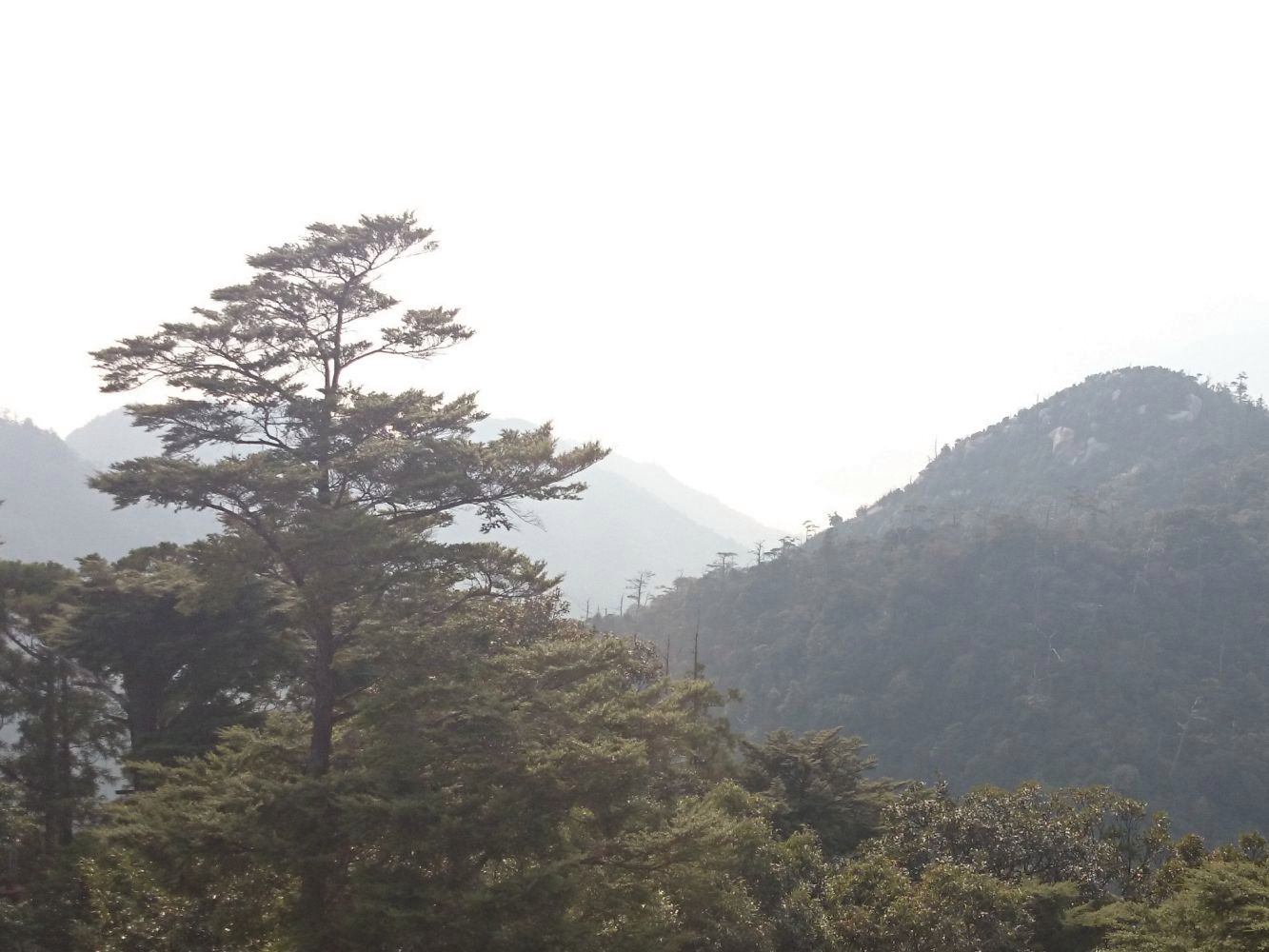 Xperia Z1 Compact vs stare sony ericssony - zaskakujące wyniki fotoporównania 30