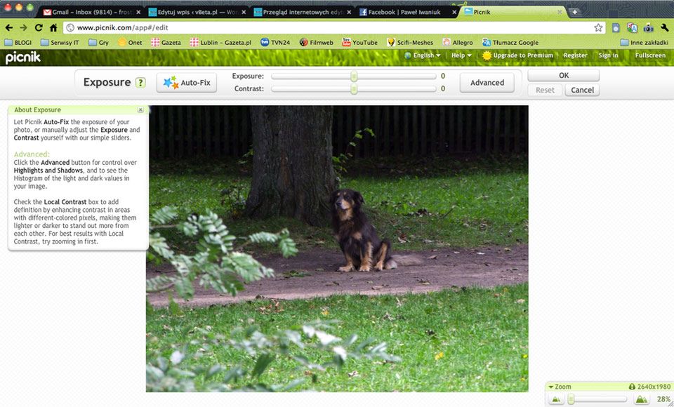 Najlepsze programy graficzne online [TOP 7] 6