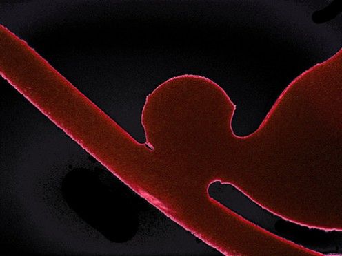 Komórka i iPod zasilane... krwią 3