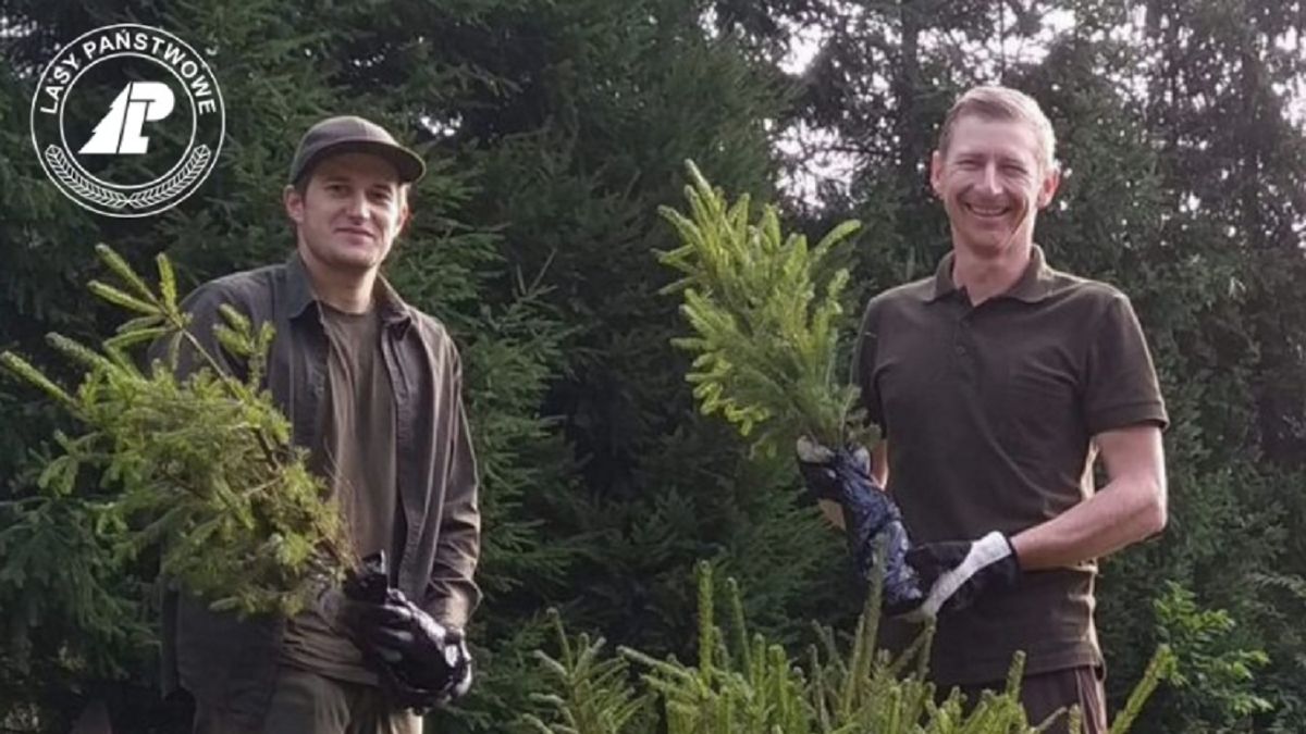 12 kwietnia Lasy Państwowe rozdadzą milion sadzonek drzew i krzewów. 