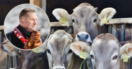 100 milionów na mleko od krów. To decyzja ministra Czarnka