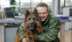 „Komisarz Alex 17” stracił 410 tys. widzów. Jesienią kolejny sezon