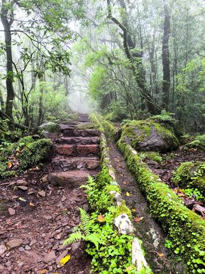 Levada do Furado, Madera
