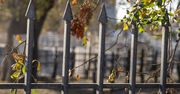 Podatek od ogrodzeń dla Polaków. Zaczęło się 1 stycznia