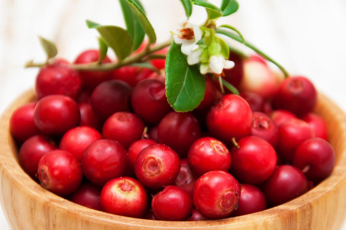 Cranberries are considered a superfood.